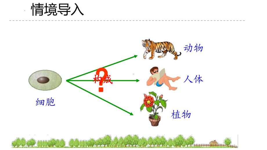 1.3.2动物体的结构层次ppt课件（ppt） -2024新人教版七年级上册《生物》.pptx_第3页