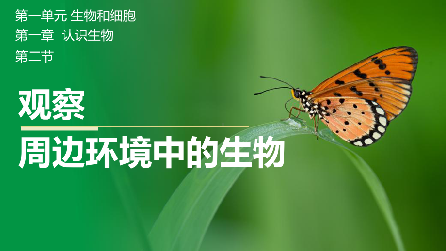 1.1.2 观察周边环境中的生物ppt课件（ppt）-2024新人教版七年级上册《生物》.pptx_第1页