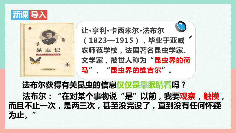 1.1.1观察周边环境中的生物ppt课件（ppt）-2024新人教版七年级上册《生物》.pptx_第3页