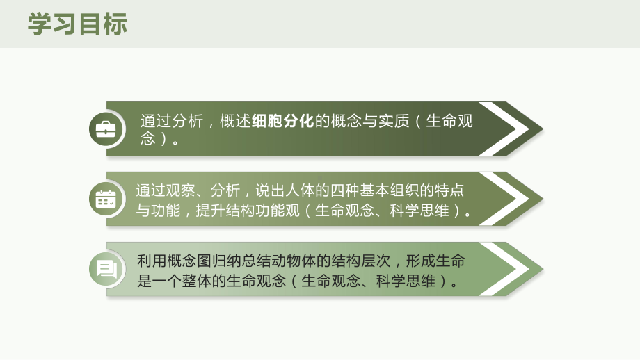 1.3.2动物体的结构层次ppt课件（ppt）-2024新人教版七年级上册《生物》.pptx_第3页