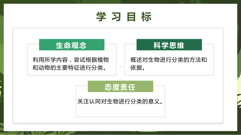 2.4.1尝试对生物进行分类 ppt课件（ppt）-2024新人教版七年级上册《生物》.pptx_第2页