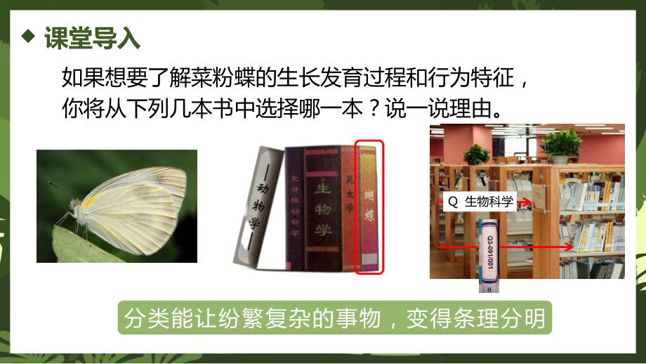 2.4.1尝试对生物进行分类 ppt课件（ppt）-2024新人教版七年级上册《生物》.pptx_第3页