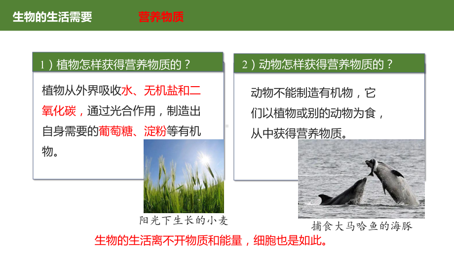 1.2.4 细胞的生活ppt课件（ppt）-2024新人教版七年级上册《生物》.pptx_第2页