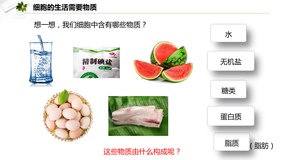 1.2.4 细胞的生活ppt课件（ppt）-2024新人教版七年级上册《生物》.pptx_第3页