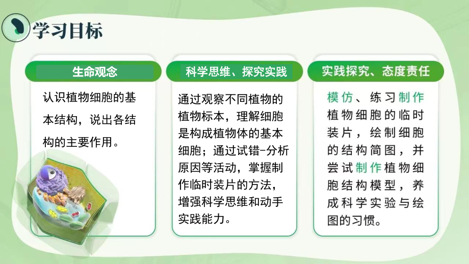 1.2.2植物细胞ppt课件（ppt）-2024新人教版七年级上册《生物》.pptx_第2页