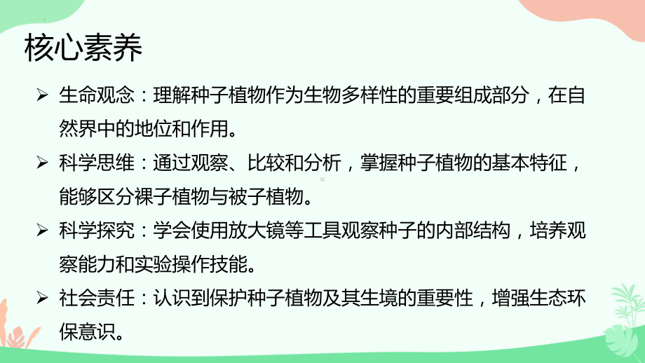 2.1.2种子植物ppt课件（ppt）-2024新人教版七年级上册《生物》.pptx_第2页