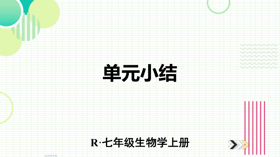 2024新人教版七年级上册《生物》第二单元 多种多样的生物 小结复习ppt课件（ppt）.pptx_第1页