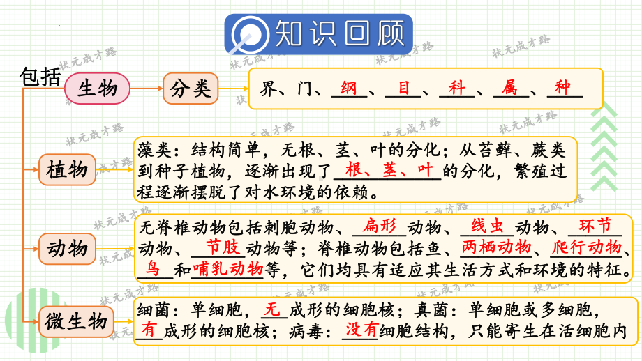 2024新人教版七年级上册《生物》第二单元 多种多样的生物 小结复习ppt课件（ppt）.pptx_第2页