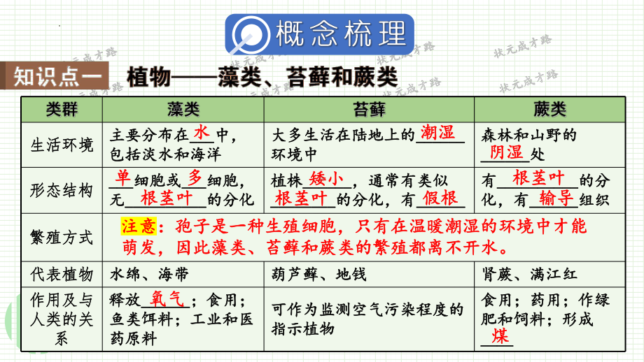 2024新人教版七年级上册《生物》第二单元 多种多样的生物 小结复习ppt课件（ppt）.pptx_第3页