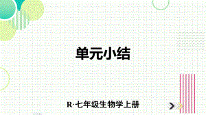 2024新人教版七年级上册《生物》第二单元 多种多样的生物 小结复习ppt课件（ppt）.pptx