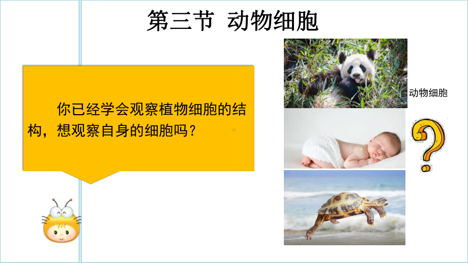 1.2.3动物细胞ppt课件（ppt）-2024新人教版七年级上册《生物》.pptx_第3页