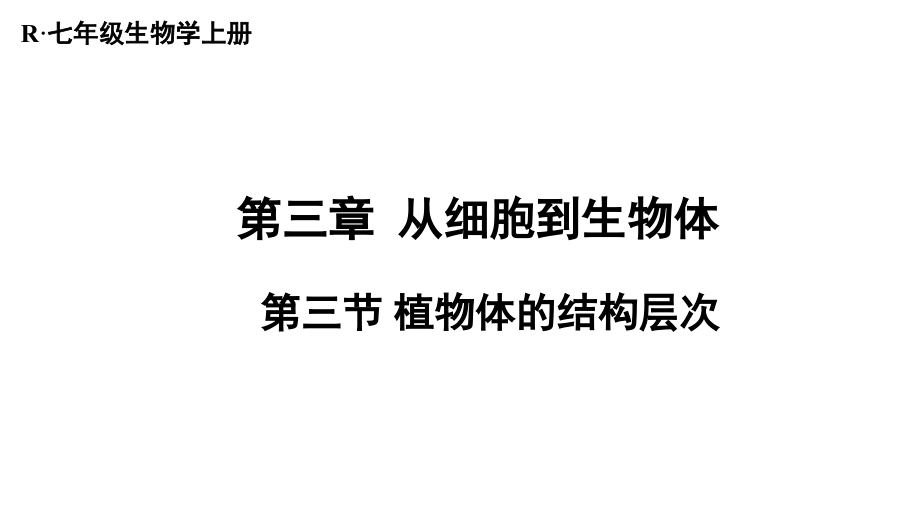 1.3.3 植物体的结构层次 ppt课件（ppt）+素材-2024新人教版七年级上册《生物》.rar