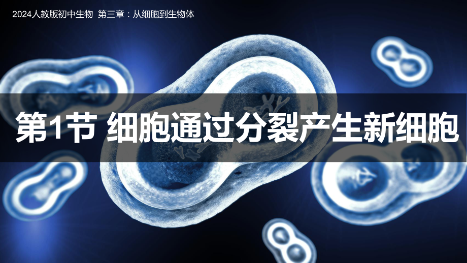 1.3.1细胞通过分裂产生新细胞ppt课件（ppt）-2024新人教版七年级上册《生物》.pptx_第1页