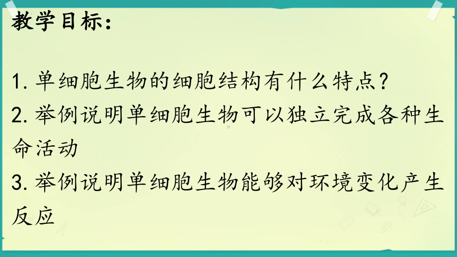 1.2.2单细胞生物ppt课件（ppt）-2024新人教版七年级上册《生物》.pptx_第2页