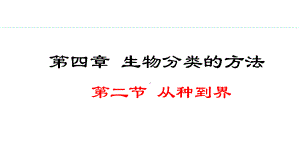 2.4.2从种到界 ppt课件（ppt）-2024新人教版七年级上册《生物》.pptx