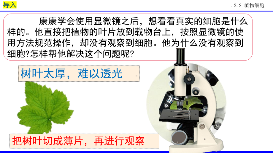 1.2.2植物细胞 ppt课件（ppt）-2024新人教版七年级上册《生物》.pptx_第3页