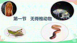 2.2.1无脊椎动物ppt课件（ppt）-2024新人教版七年级上册《生物》.pptx