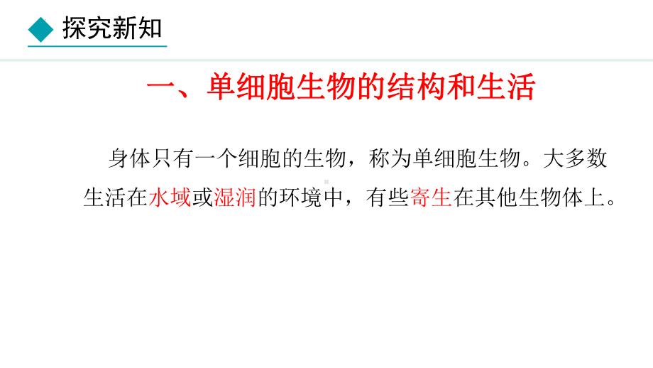 1.3.4单细胞生物 ppt课件（ppt）-2024新人教版七年级上册《生物》.pptx_第3页