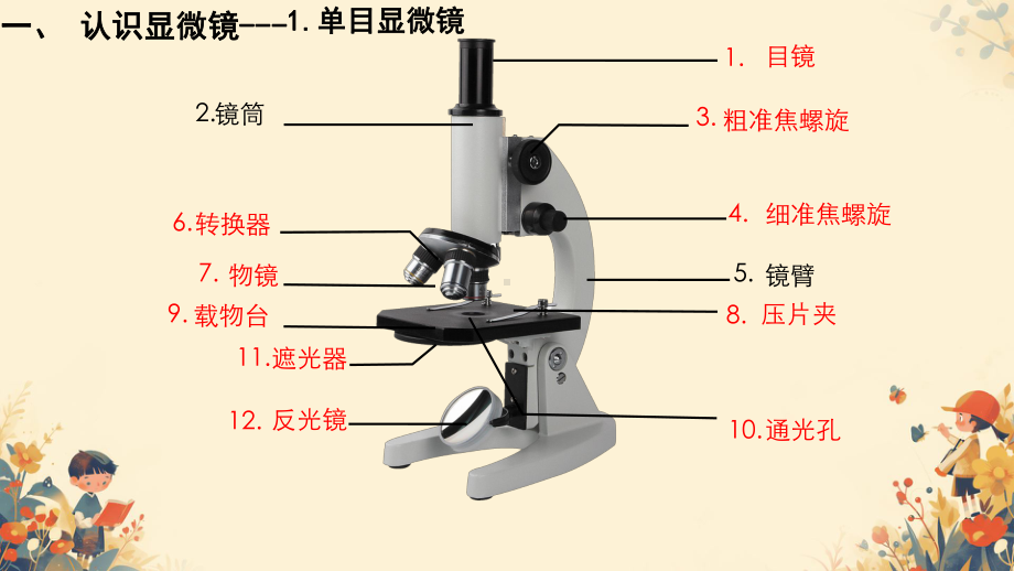 1.2.1学习使用显微镜ppt课件（ppt）-2024新人教版七年级上册《生物》.pptx_第3页