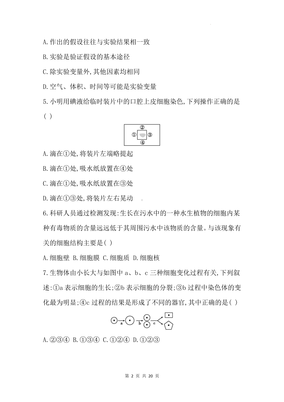 北师大版（2024新版）七年级上册生物期末学情调研测试卷（含答案）.docx_第2页