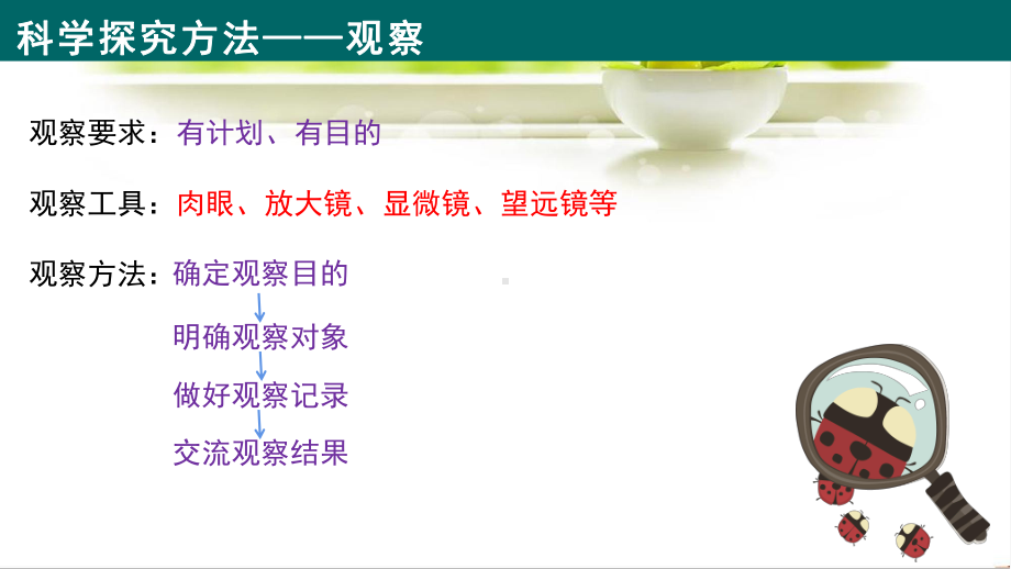 人教版（2024新版）七年级上册生物第1单元 生物和细胞 复习课件.pptx_第2页