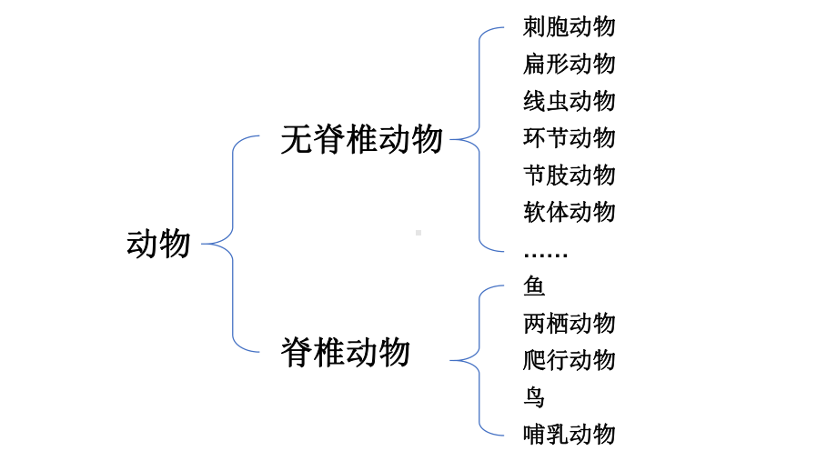 2.2.2.3 鸟和哺乳动物 课件 人教版（2024）生物七年级上册.pptx_第1页