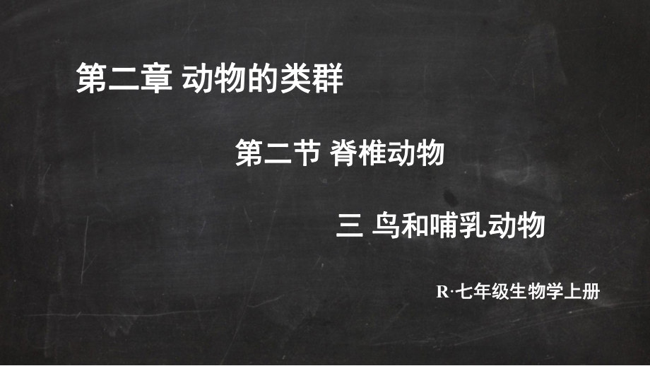 2.2.2.3 鸟和哺乳动物 课件 人教版（2024）生物七年级上册.pptx_第2页