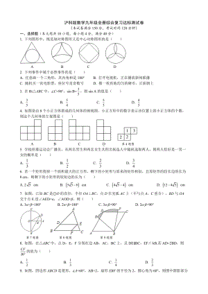 全册综合复习达标测试卷 沪科版数学九年级下册.docx