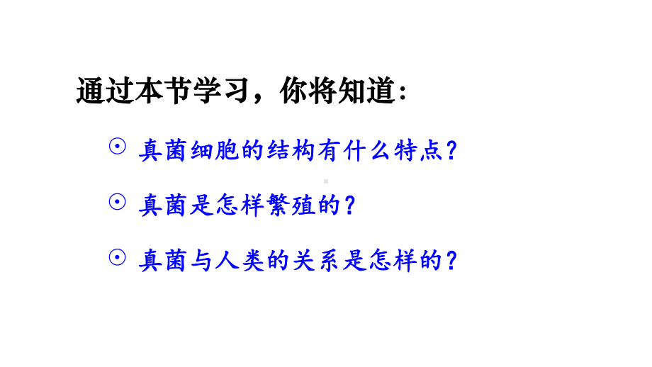 2.3.3真菌 课件 人教版（2024）生物七年级上册.pptx_第3页