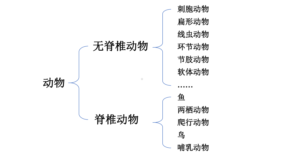 2.2.1 无脊椎动物 课件 人教版（2024）生物七年级上册.pptx_第2页