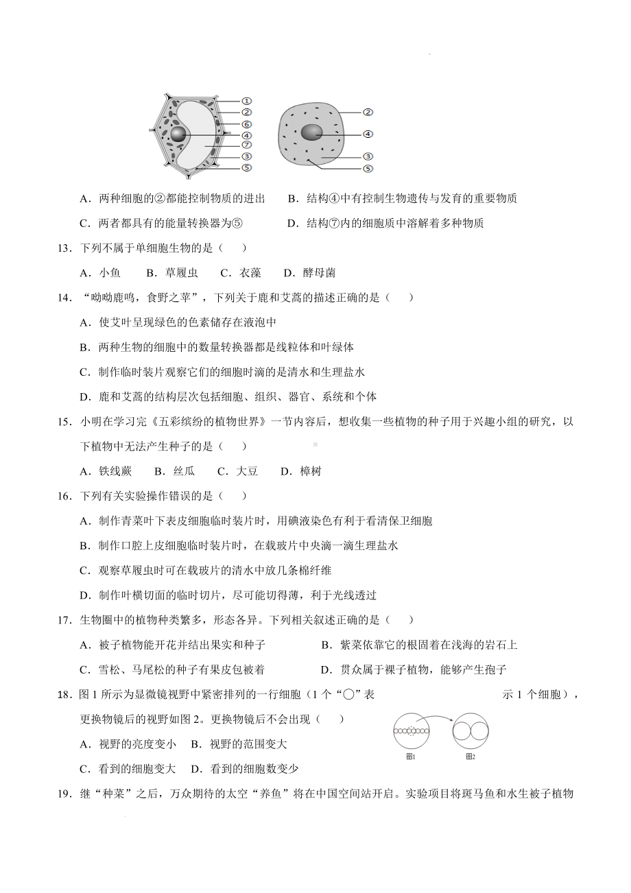 苏教版（2024新版）七年级上册生物期中学情调研测试卷（含答案）.docx_第3页