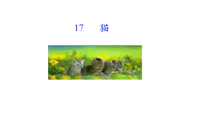 17 猫 课件统编版（2024）语文七年级上册.ppt