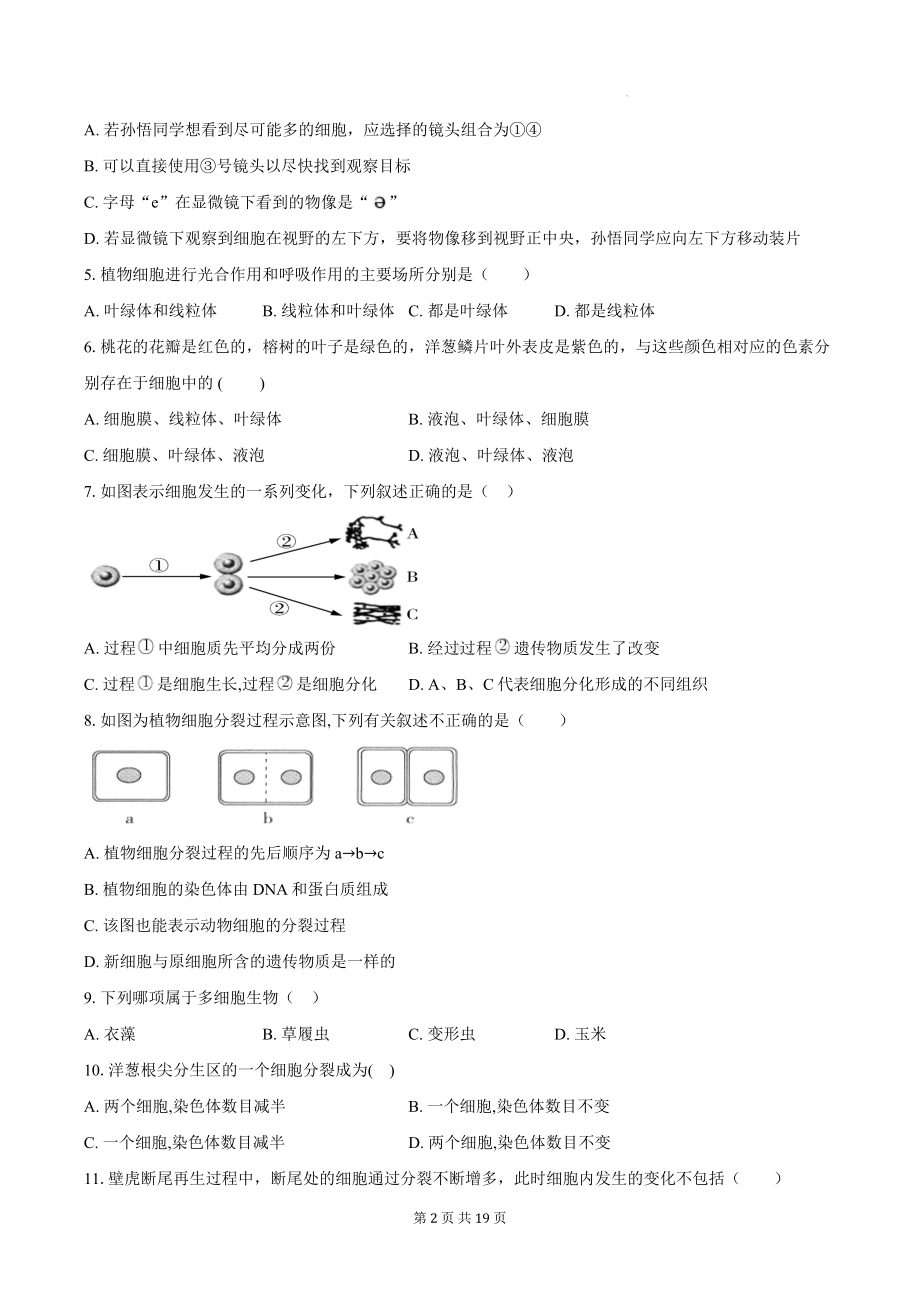 苏教版（2024新版）七年级上册生物第1~3章综合测试卷（含答案解析）.docx_第2页