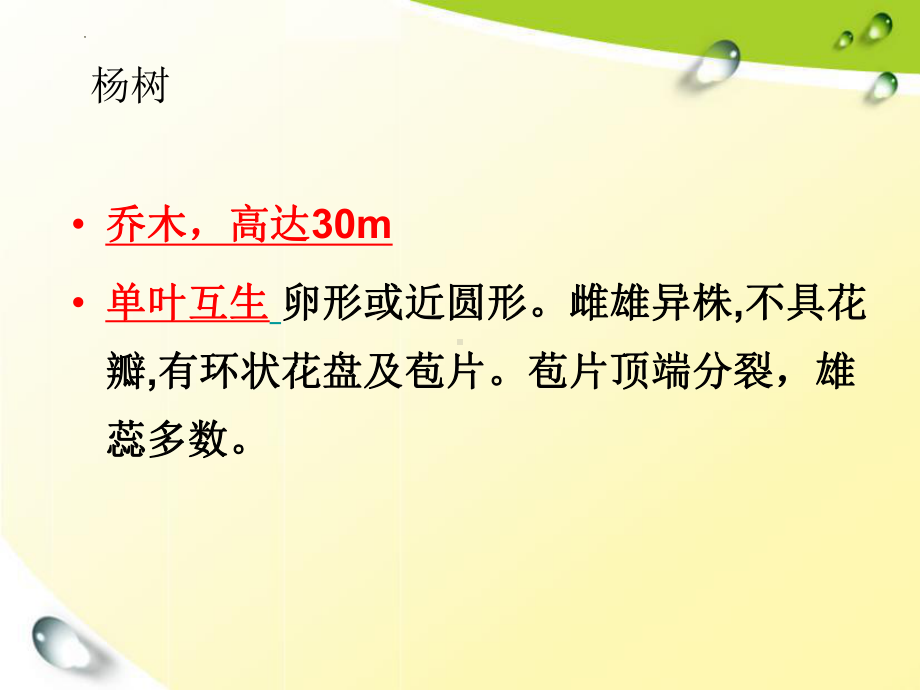 6. 校园里的植物 ppt课件-2024新一年级上册科学（教科版 ）.pptx_第3页