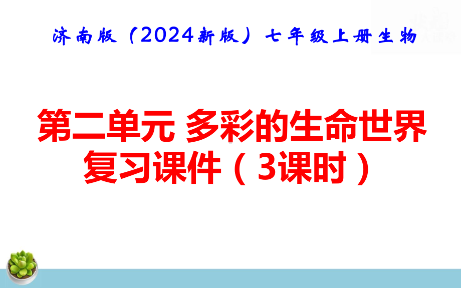 济南版（2024新版）七年级上册生物第二单元 多彩的生命世界 复习课件（3课时）.pptx_第1页