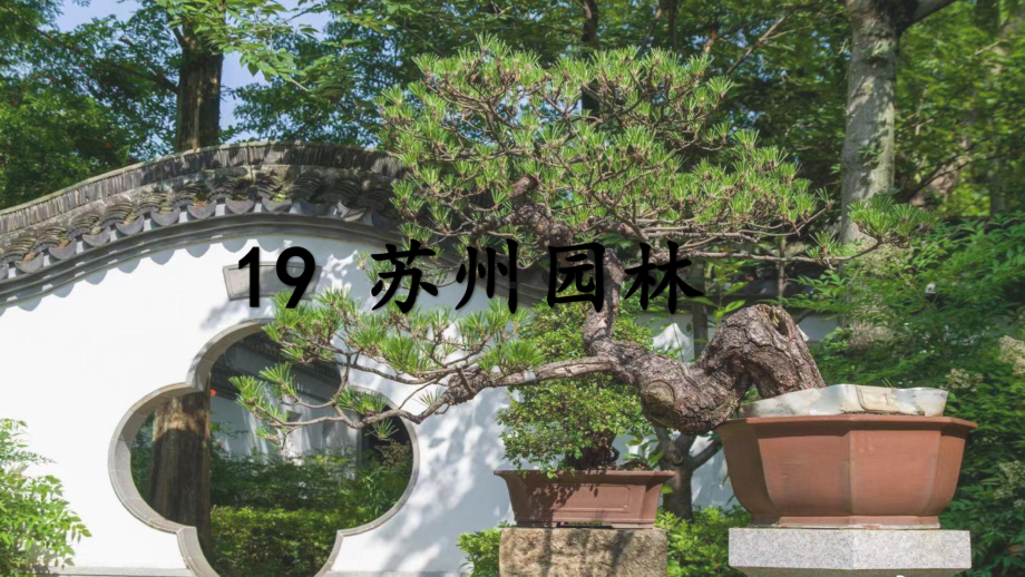 第19课《苏州园林》课件（共42张ppt）2023-2024学年统编版语文八年级上册.pptx_第1页