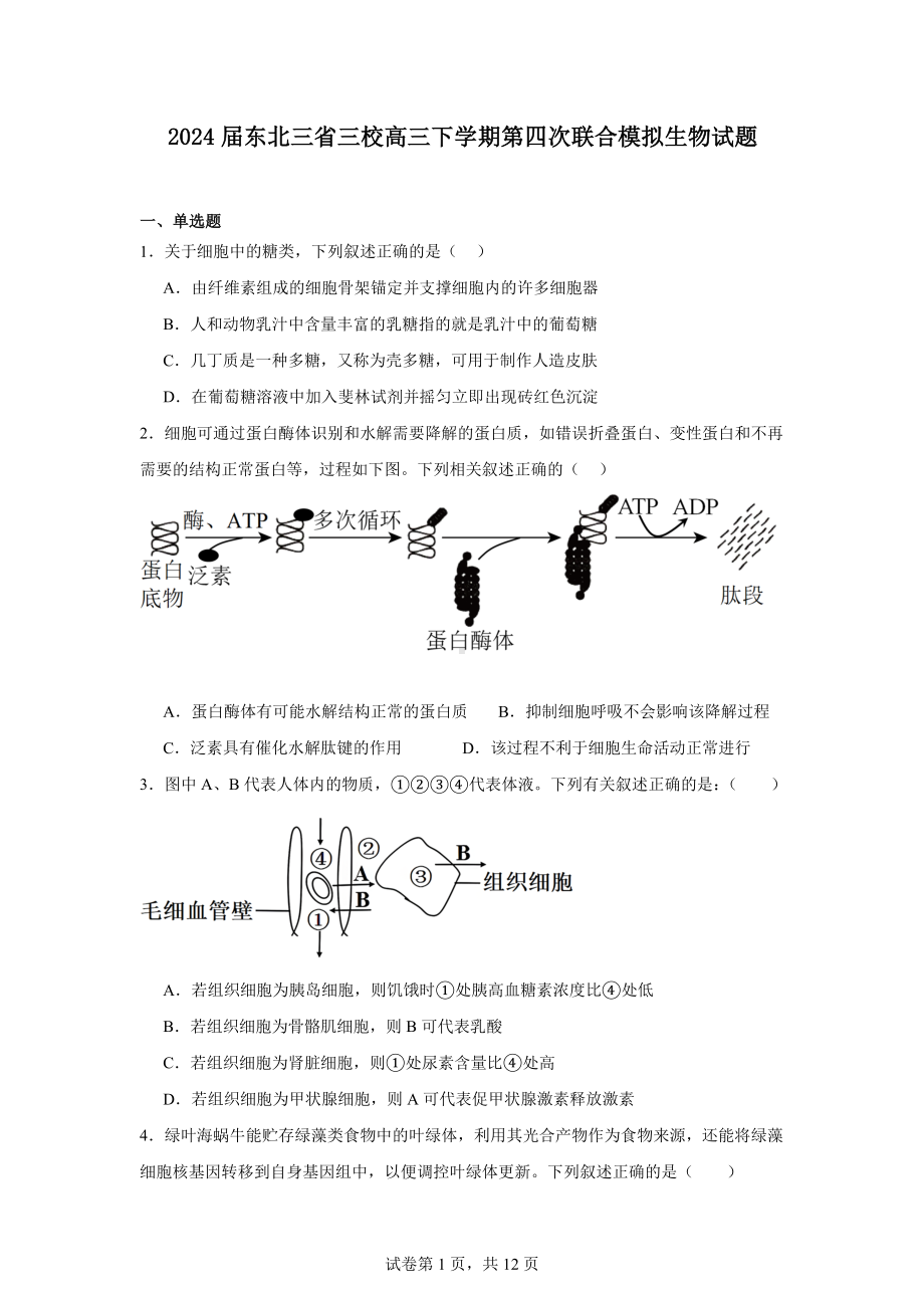 2024届东北三省三校高三下学期第四次联合模拟生物试题.docx_第1页