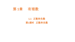 1.1 .1正数和负数课件 2024-2025学年沪科版数学七年级上册.pptx