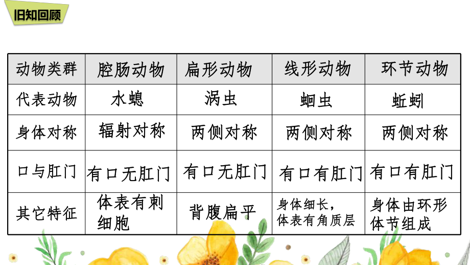 5.1.3 软体动物和节肢动物 课件-2023-2024学年人教版生物八年级上册.pptx_第1页