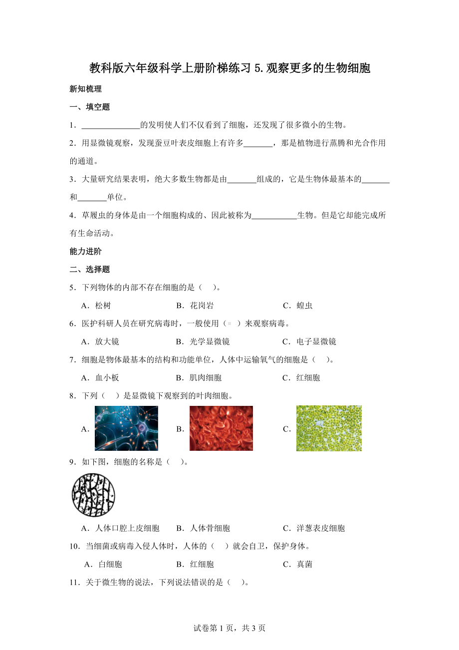 教科版六年级科学上册阶梯练习5.观察更多的生物细胞.docx_第1页