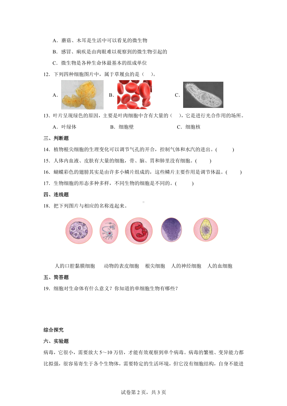 教科版六年级科学上册阶梯练习5.观察更多的生物细胞.docx_第2页