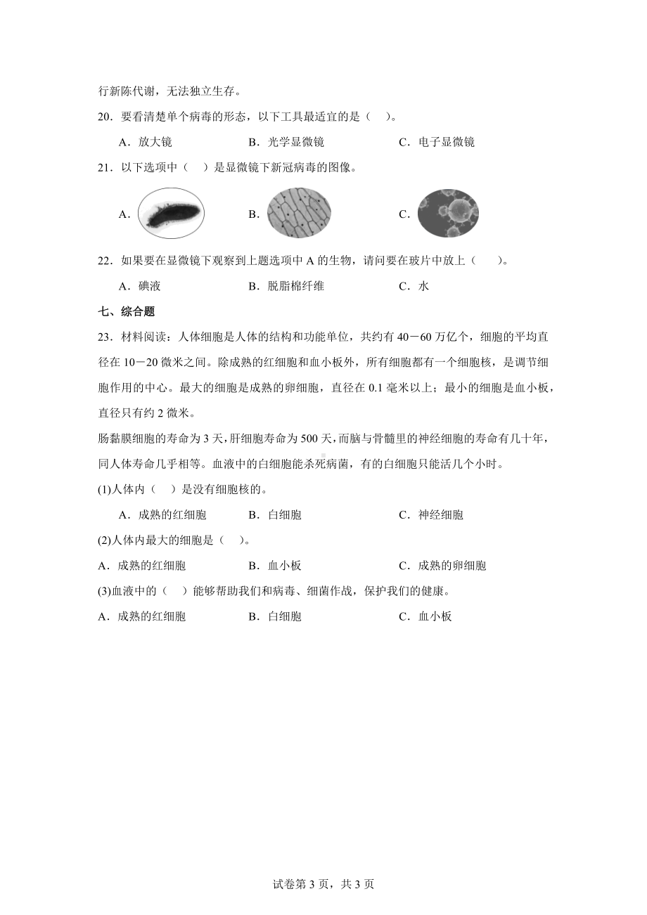 教科版六年级科学上册阶梯练习5.观察更多的生物细胞.docx_第3页