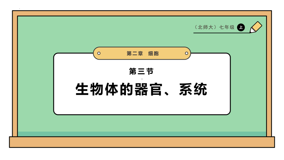 2.3.3生物体的器官、系统ppt课件 -2024新北师大版七年级上册《生物》.pptx_第1页