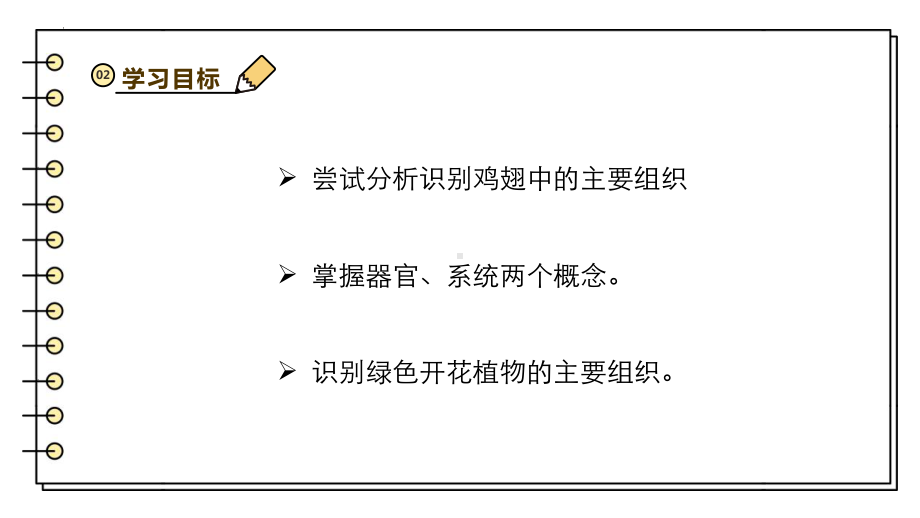 2.3.3生物体的器官、系统ppt课件 -2024新北师大版七年级上册《生物》.pptx_第3页