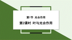 4.1 光合作用 第2课时 ppt课件 -2024新北师大版七年级上册《生物》.pptx