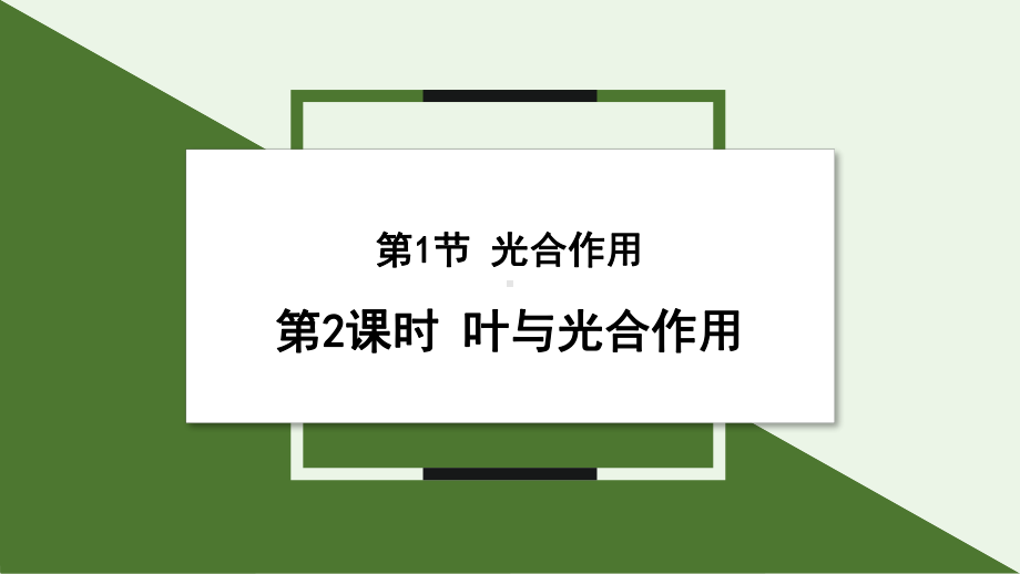 4.1 光合作用 第2课时 ppt课件 -2024新北师大版七年级上册《生物》.pptx_第1页