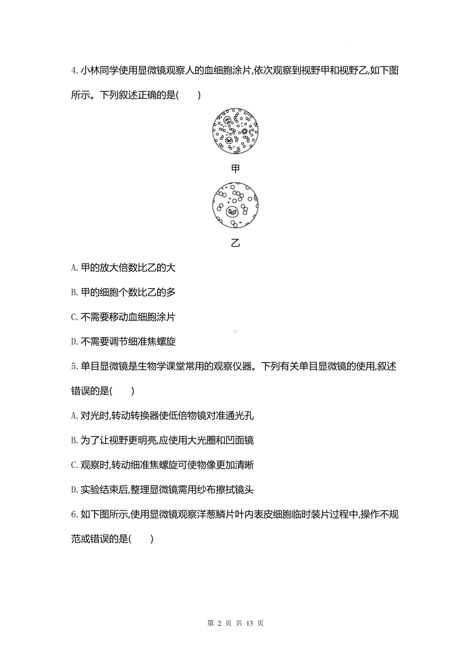 人教版（2024新版）七年级上册生物期中复习综合模拟测试卷（含答案）.docx_第2页