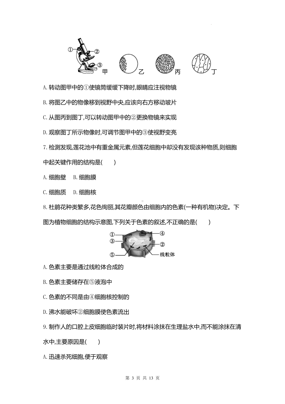 人教版（2024新版）七年级上册生物期中复习综合模拟测试卷（含答案）.docx_第3页