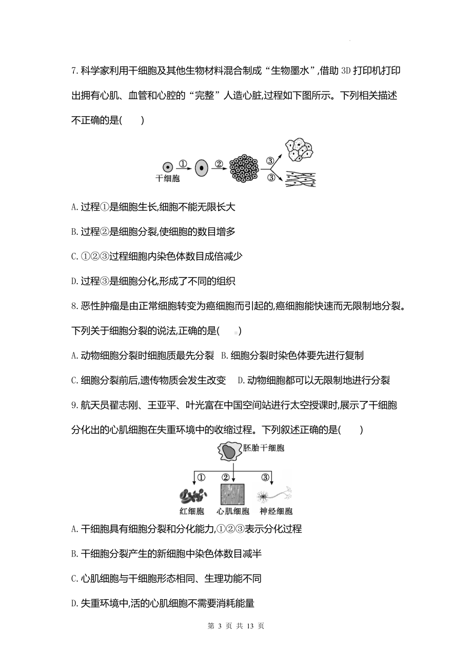 人教版（2024新版）七年级上册生物期末复习综合模拟测试卷（含答案）.docx_第3页