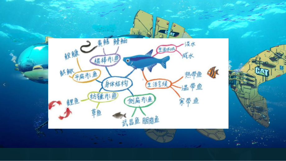 第14课《鱼形启巧思》 ppt课件 -2024新岭南美版七年级上册《美术》.pptx_第2页